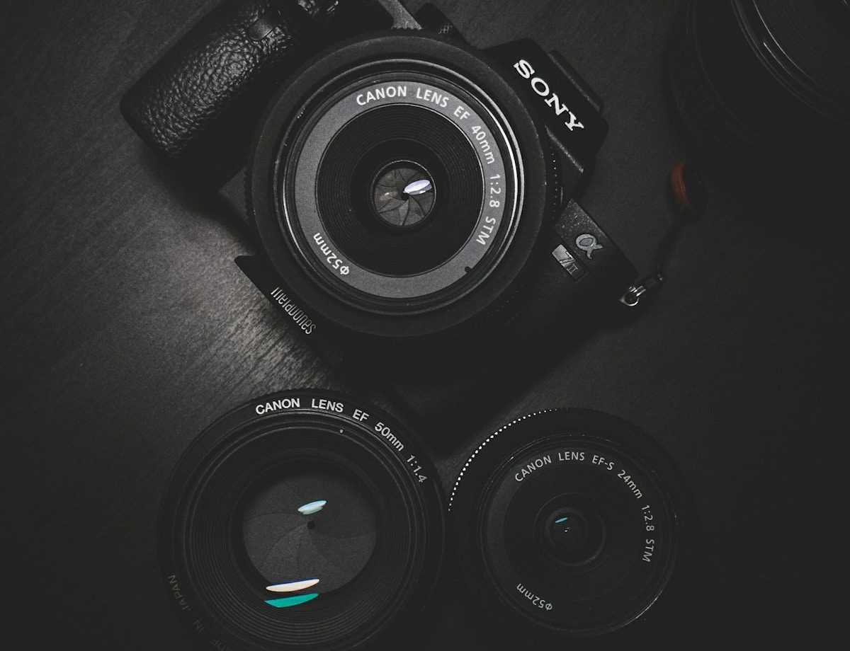 Hobbyist photographer reviewing shots with a professional mirrorless camera